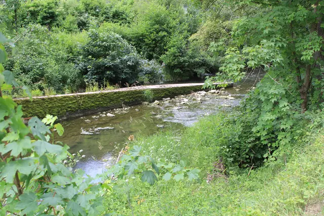 von Geislingen am Kocher nach Cröffelbach im schönen Bühlertal