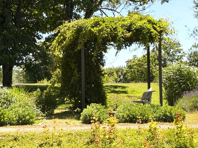Foto: Heide Böllinger aus Bad Friedrichshall