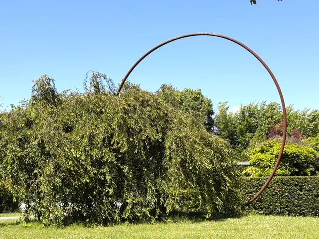 Foto: Heide Böllinger aus Bad Friedrichshall
