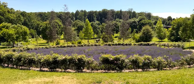 Foto: Heide Böllinger aus Bad Friedrichshall