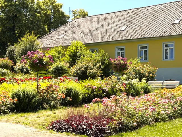 Foto: Heide Böllinger aus Bad Friedrichshall