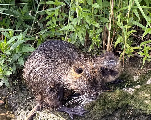 Foto: Heide Böllinger aus Bad Friedrichshall