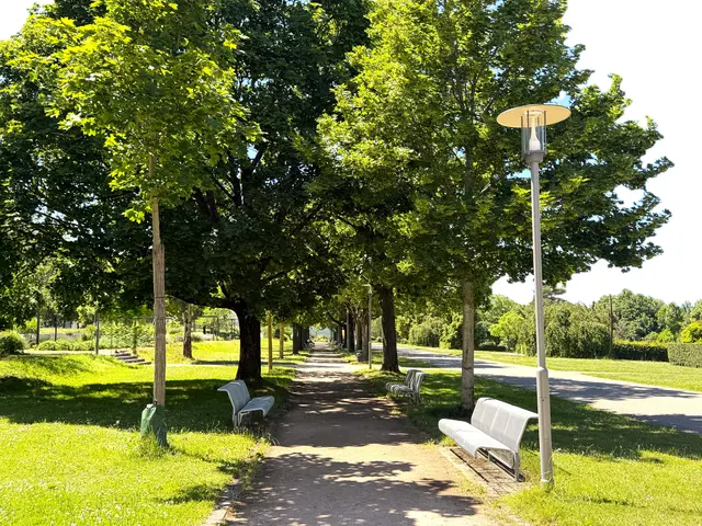 Foto: Heide Böllinger aus Bad Friedrichshall