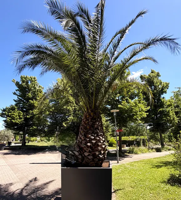 Foto: Heide Böllinger aus Bad Friedrichshall