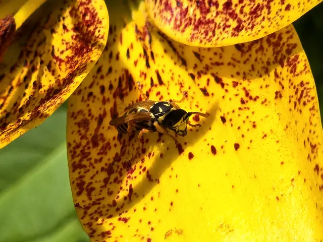 Foto: Heidrun Rosenberger