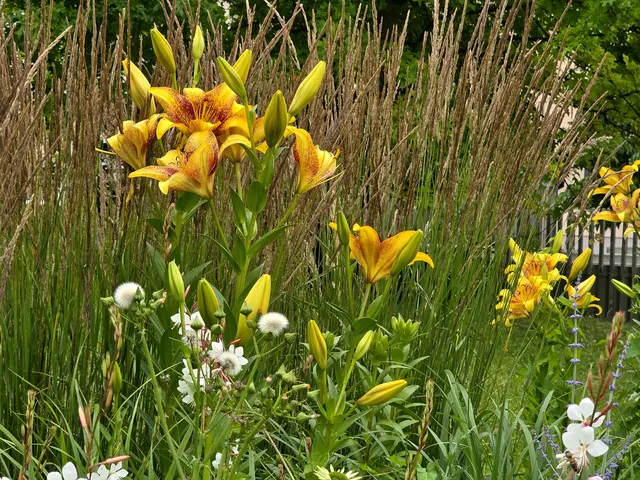 Foto: Heidrun Rosenberger