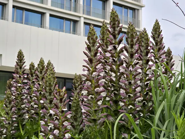 Foto: Heidrun Rosenberger