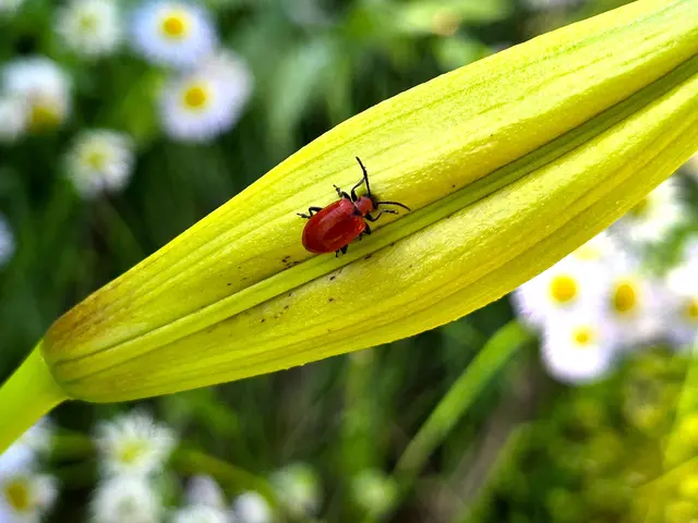 Foto: Heidrun Rosenberger