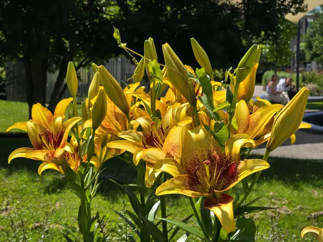 Foto: Heidrun Rosenberger