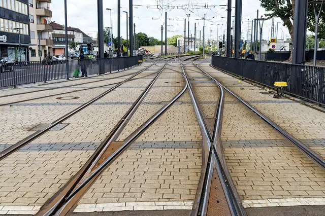 Hoffentlich verfährt sich keiner 😸 | Foto: WKY