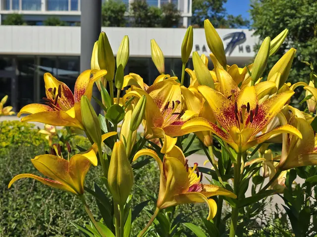 Foto: Heidrun Rosenberger