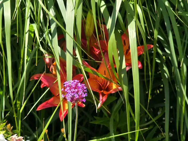 Foto: Heidrun Rosenberger