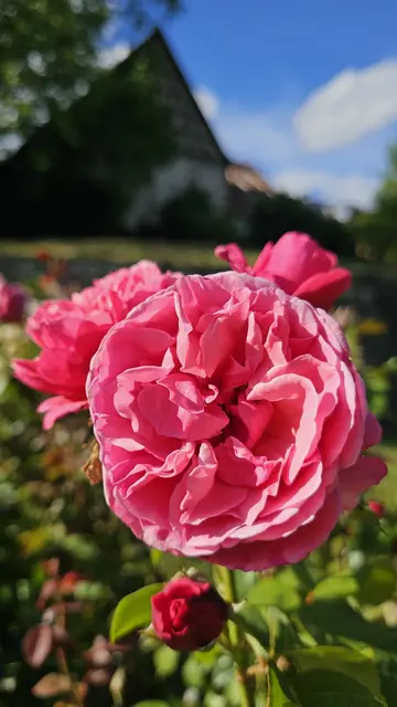 Foto: Heinrich Brehm