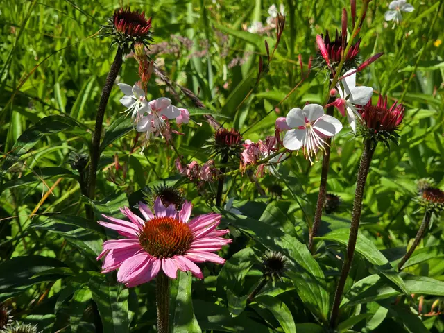 Foto: Heidrun Rosenberger