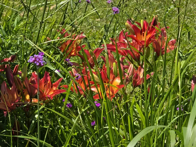 Foto: Heidrun Rosenberger