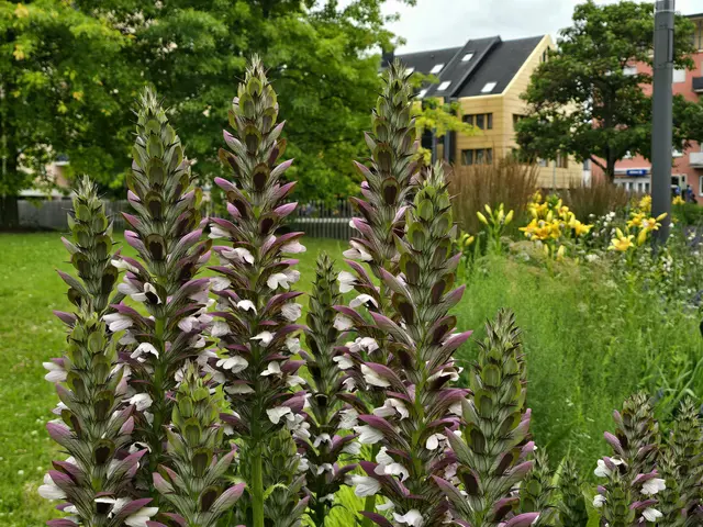 Foto: Heidrun Rosenberger