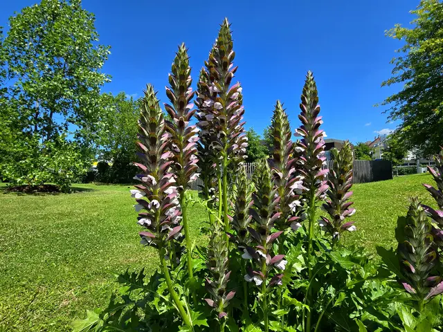 Foto: Heidrun Rosenberger