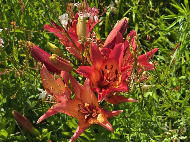 Foto: Heidrun Rosenberger
