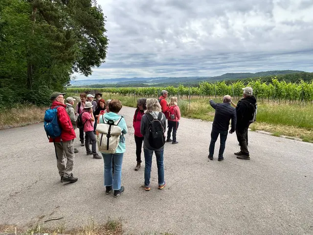 Blick in die Ferne zum Schwäbisch-Fränkischen Wald | Foto: Marion Hendel