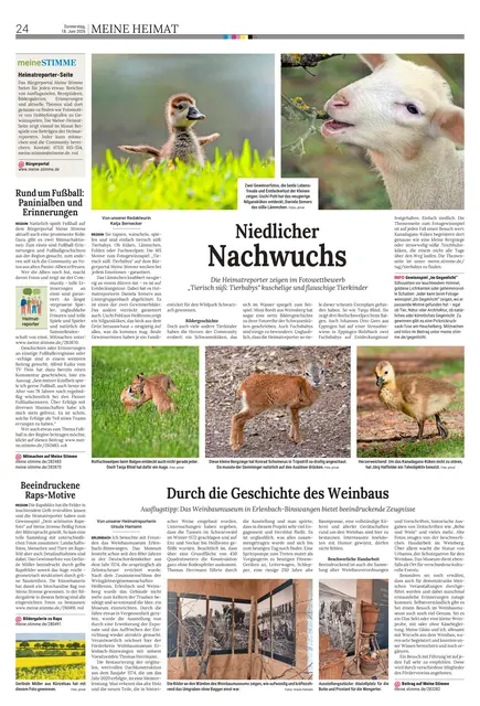 Zeitungsseite der Meine Heimat-Seite