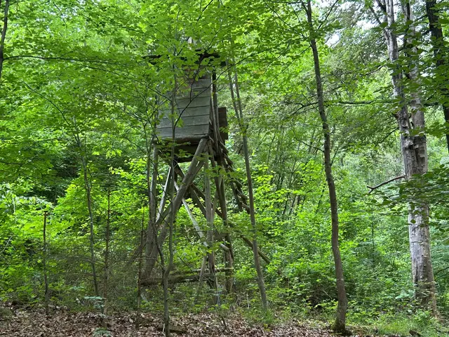 Der amerikanische Wachturm, ein Relikt aus Zeiten des kalten Krieges | Foto: M arion Hendel