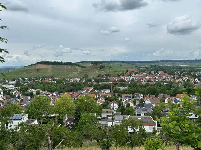 Blick auf den Wildenberg | Foto: Marion Hendel