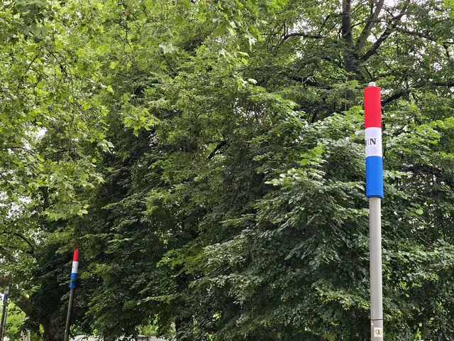 Foto: Heidrun Rosenberger