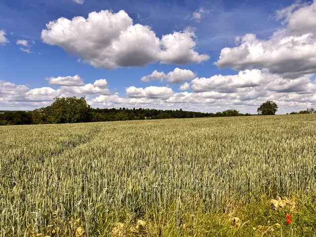 Foto: Heide Böllinger aus Bad Friedrichshall