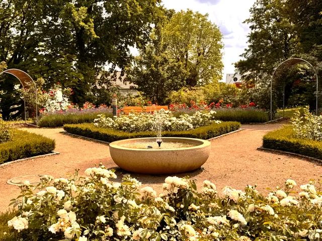 Foto: Heide Böllinger aus Bad Friedrichshall