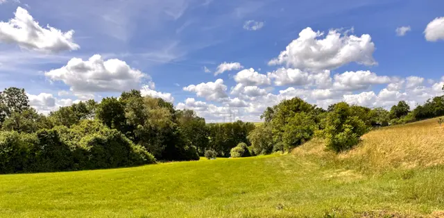 Foto: Heide Böllinger aus Bad Friedrichshall