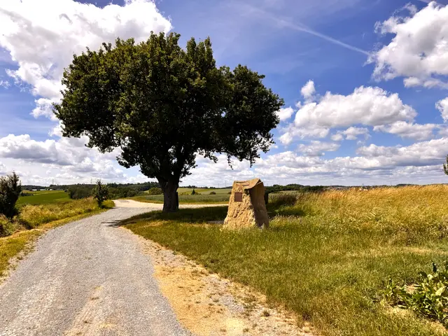 Foto: Heide Böllinger aus Bad Friedrichshall