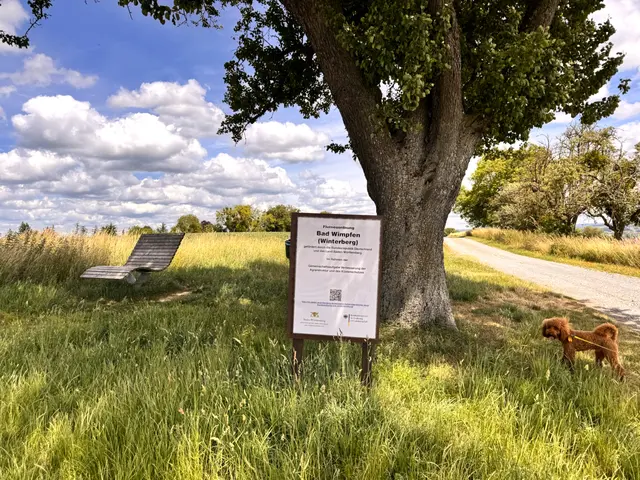 Foto: Heide Böllinger aus Bad Friedrichshall