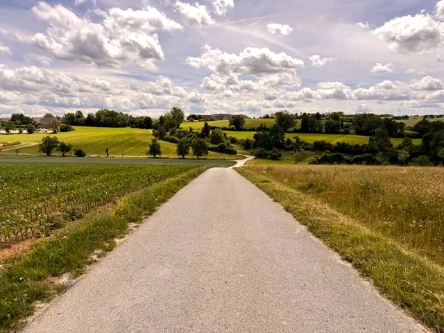 Foto: Heide Böllinger aus Bad Friedrichshall