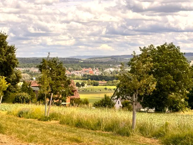 Foto: Heide Böllinger aus Bad Friedrichshall