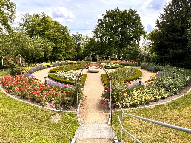 Foto: Heide Böllinger aus Bad Friedrichshall