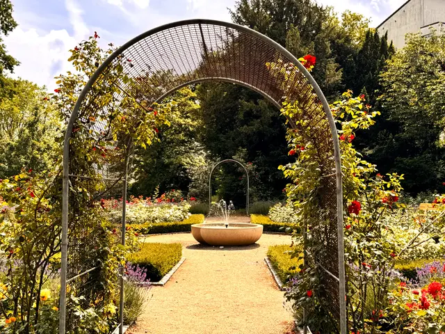 Foto: Heide Böllinger aus Bad Friedrichshall