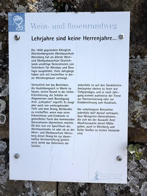 Foto: Heide Böllinger aus Bad Friedrichshall