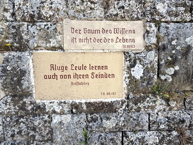 Foto: Heide Böllinger aus Bad Friedrichshall