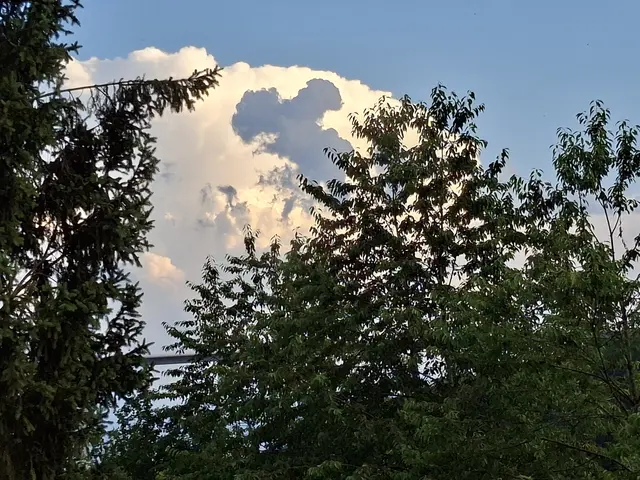 Gestern Blick von der Terrasse aus Richtung Kochertalbrücke