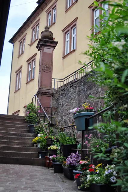 Romantischer Aufstieg zur ehemaligen Freudenbergsche Hofhaltung oder Kemenate, heute Fürstlich Löwenstein-Wertheim-Freudenbergsches Verwaltungsgebäude | Foto: Daniela Somers
