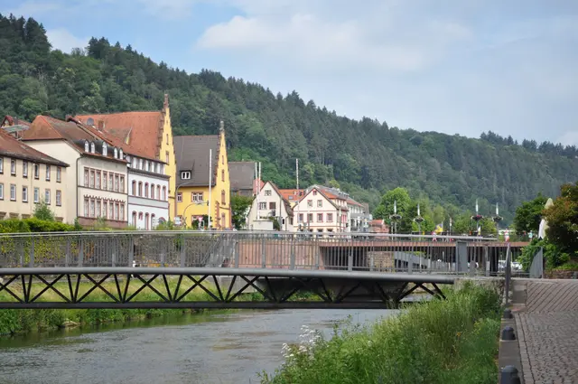 Blick auf die Tauber und ihre Brücken | Foto: Daniela Somers