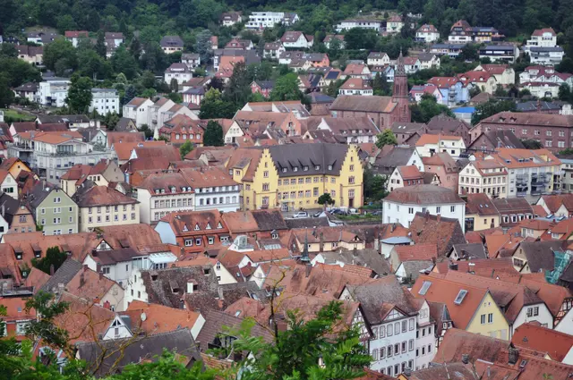 Ausblick von der Burg. Das markante gelbe Gebäude ist das ehemalige Hospital und auch ehemalige Rathaus. Heute ist es ein Kulturhaus. | Foto: Daniela Somers