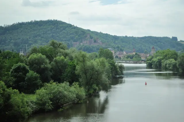 Blick zurück aus dem Busfenster auf Wertheim. Jetzt gehts erstmal zu Mittagessen. | Foto: Daniela Somers