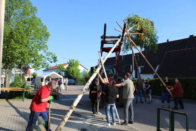 Das traditionelle Maibaumstellen findet auch in diesem Jahr wieder statt. | Foto: &copy; Privat