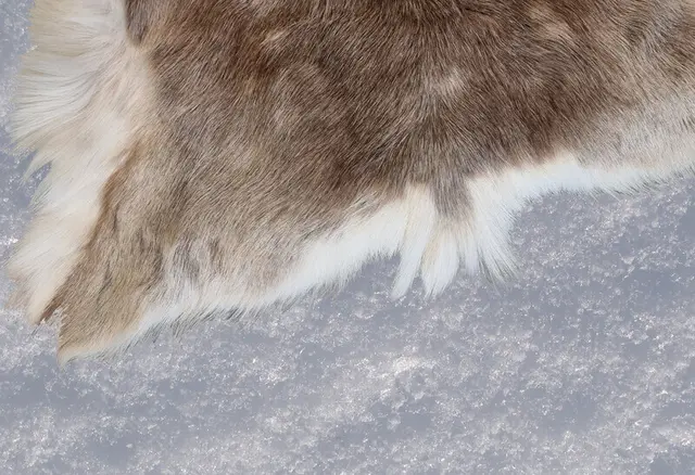 Winter is coming. | Foto: &copy; Römermuseum Güglingen