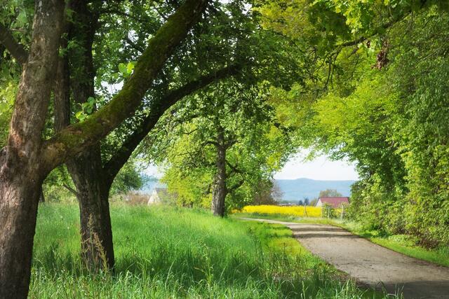 Landschaft bei Künzelsau