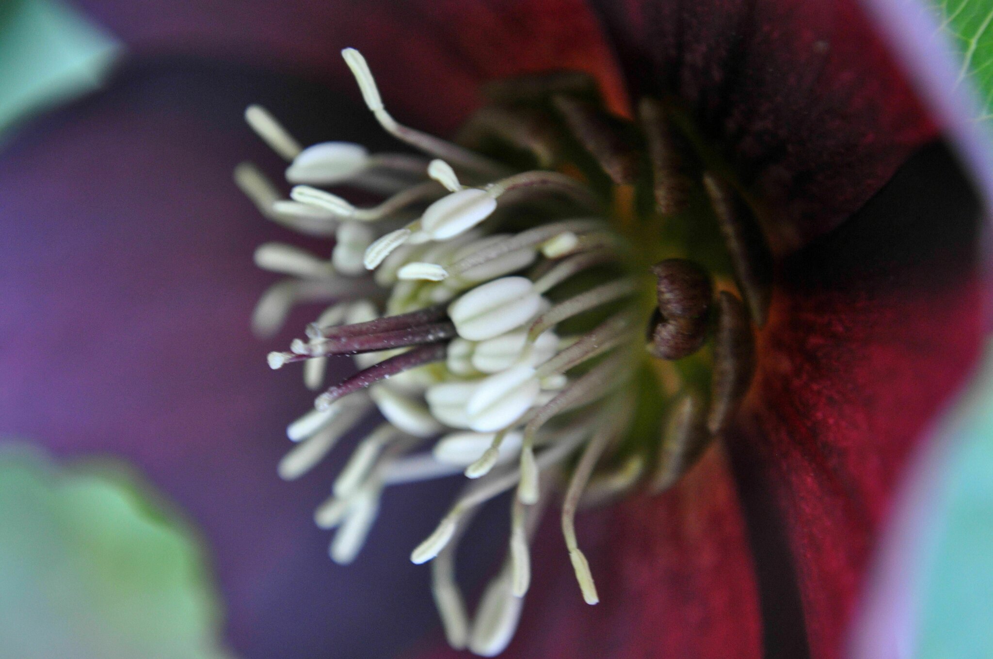 43+ Candy Love Lenzrose, Candy love se présente dans une boîte que