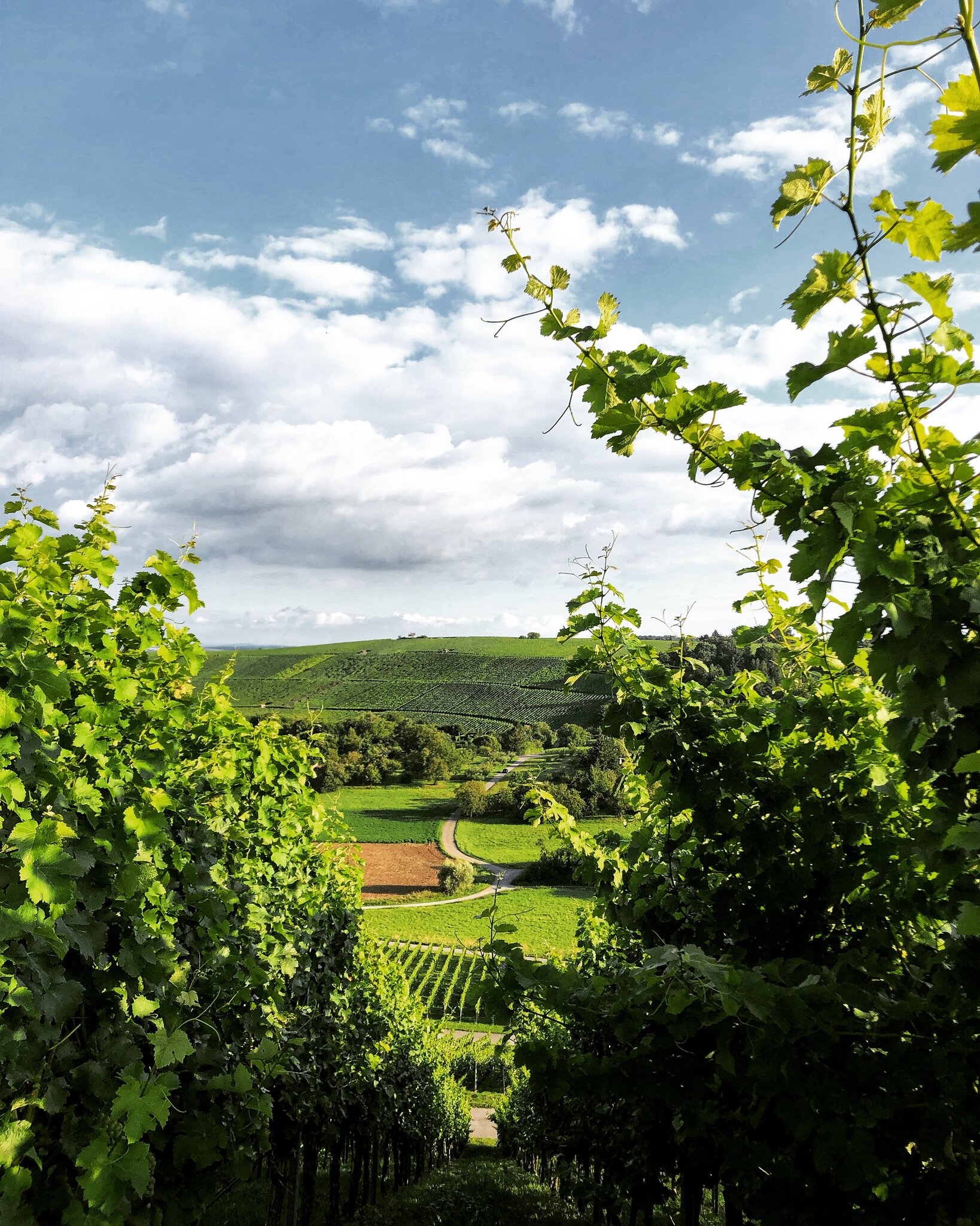 Ein Tag im September