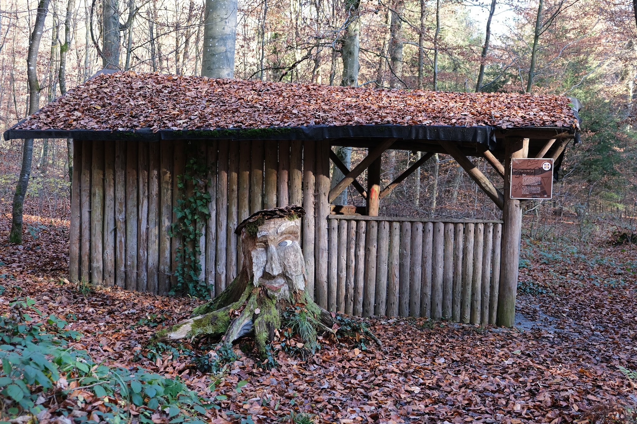 Die geheimnisvolle Hütte im Wald.