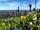 Heilbronn "in bunt"